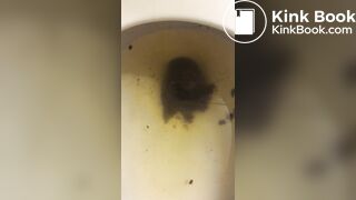 Not much but it’s something