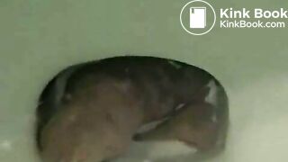 Girls Pooping in Toilet