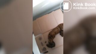 Mobile Phone Poop Quickie.Enthusiast. - video 4