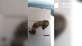 Mobile Phone Poop Quickie.Enthusiast. - video 4