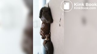 Mobile Phone Poop Quickie.Enthusiast. - video 4