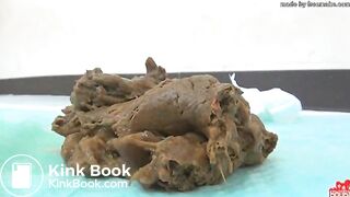 poop on blue sheet1