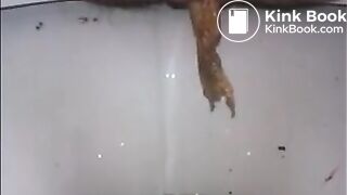 Hairy granny shitting closeup