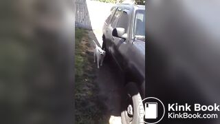 Girl taking a cow shit
