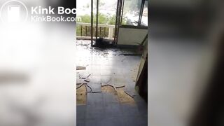 I big poop on hotel in Thailand