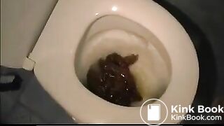 Flushed toilet