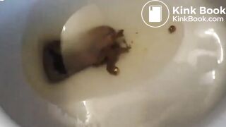Fat ass toilet plops