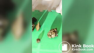 Hot Amateur Woman Pooping Compilation