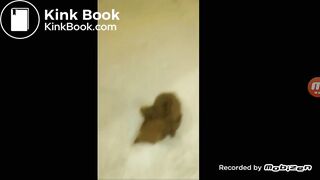 Ebony goes in the bathtub. Watch to see what happens after...