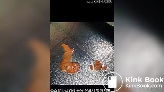 korean huge scat