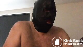 Pig eating three loads of shit