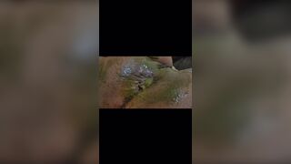 Ebony poop - video 45