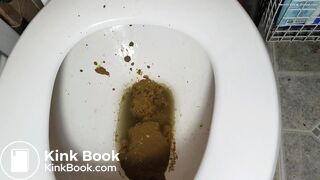 Bbw sloppy shit in toilet.
