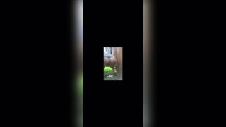 That wrecked butthole