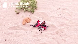 ...-010 Excretion full view! All real shit! 10 beauties are the limit shy