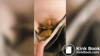 panty poop play and sex