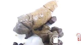 Japanese pooping - video 63