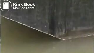 Pissing & shitting from a barge