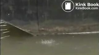 Pissing & shitting from a barge