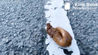 In the Middle of the Road