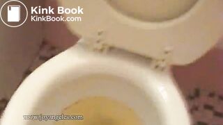 Sexy girl shits over the toilet for us