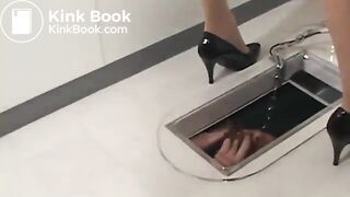 Japanese toilet slavery