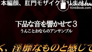 下品な音を響かせて３　うんことおならのアンサンブル