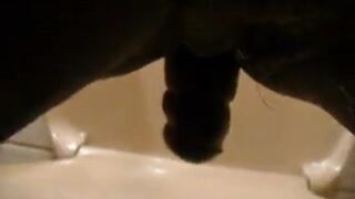 german mistress poops a big turd in toilet