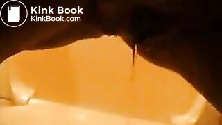 german mistress poops a big turd in toilet