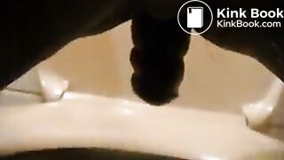 german mistress poops a big turd in toilet