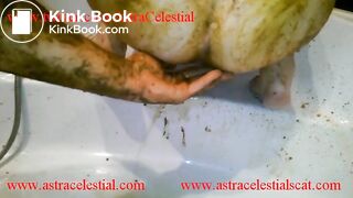 Epic Scat Session. Trailer for 5-6 parts.