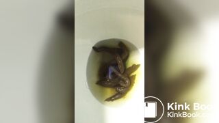 Endless Turds 5 - video 2