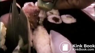 Japanese Scat family