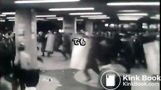 Japanese Scat family