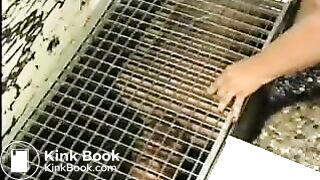 sewer shit slave
