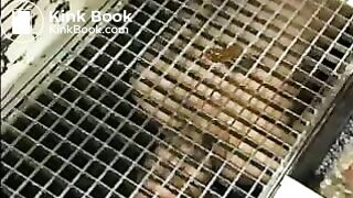 sewer shit slave