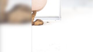 poop teen