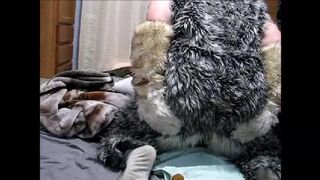 fursuit shitting on bed
