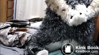 fursuit shitting on bed