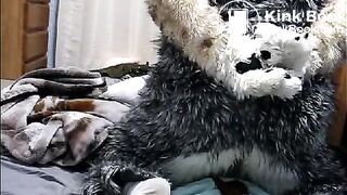 fursuit shitting on bed