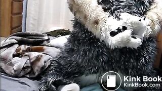 fursuit shitting on bed