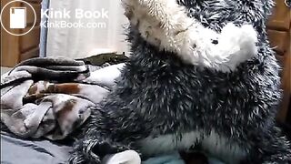 fursuit shitting on bed