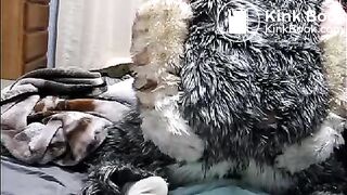 fursuit shitting on bed