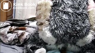 fursuit shitting on bed