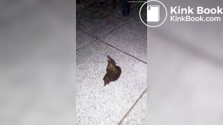 Beautiful Mistress Bianc shitting