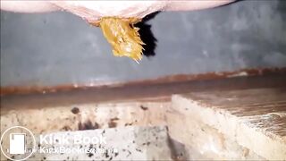 Creampied girl shitting in a dirty toilet