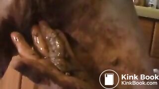 couple playing with shit