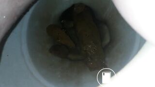 Toilet poop - video 99