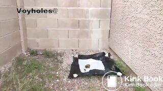 Ebony pooping compilation - video 2