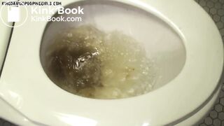 Karma poops on toilet